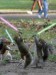 Jedi_Squirrels.jpg