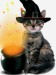 Witch_Cat.jpg